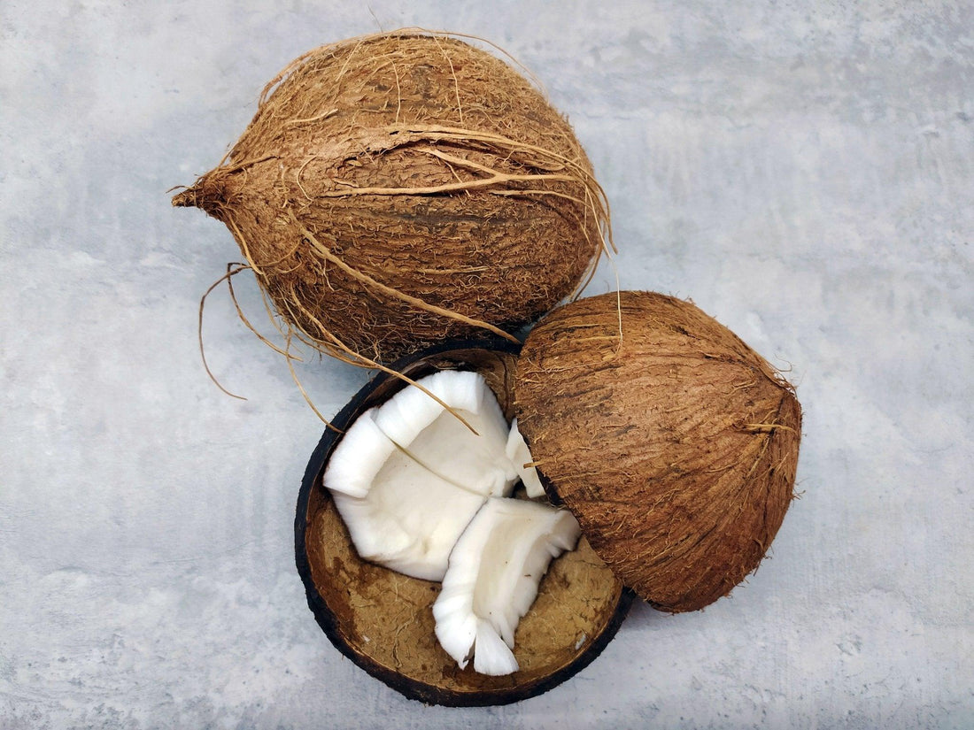 And God Made Coconuts... - Cultured Bakehouse