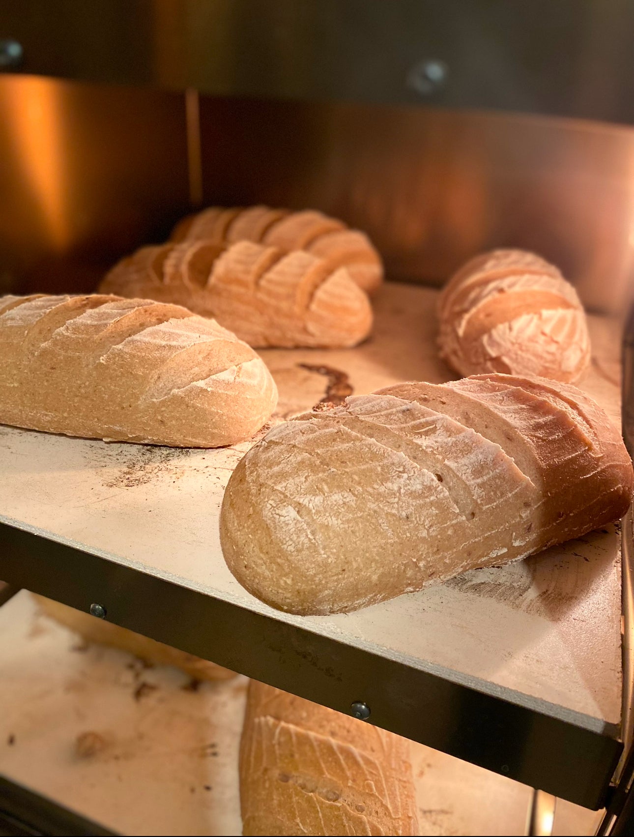 Organic Free From Sourdough Bread Workshop