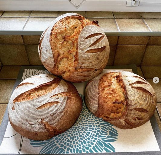 Humble Sourdough Bread (With Gluten) *Small* - Cultured Bakehouse