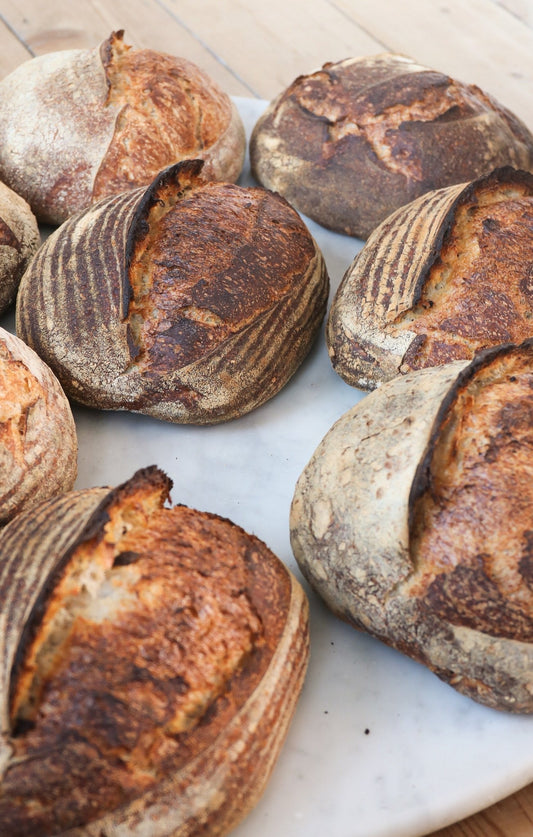 Humble Sourdough Bread (With Gluten)*Standard* - Cultured Bakehouse